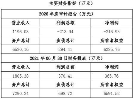 湖北民航技術(shù)服務(wù)公司股權(quán)轉(zhuǎn)讓項(xiàng)目解析 聚焦技術(shù)服務(wù)與技術(shù)成果轉(zhuǎn)移